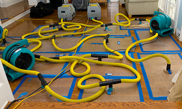 Professional Crawl Space Water Removal technician working in Rice, TX